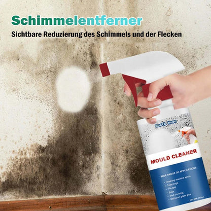 Mould Cleaner